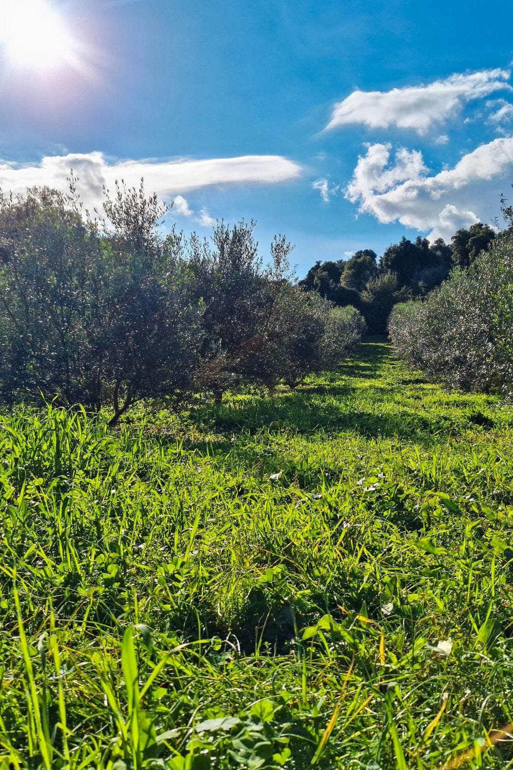 A living ecosystem​