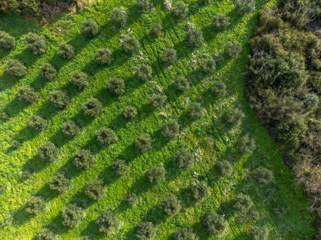 DJI 0898