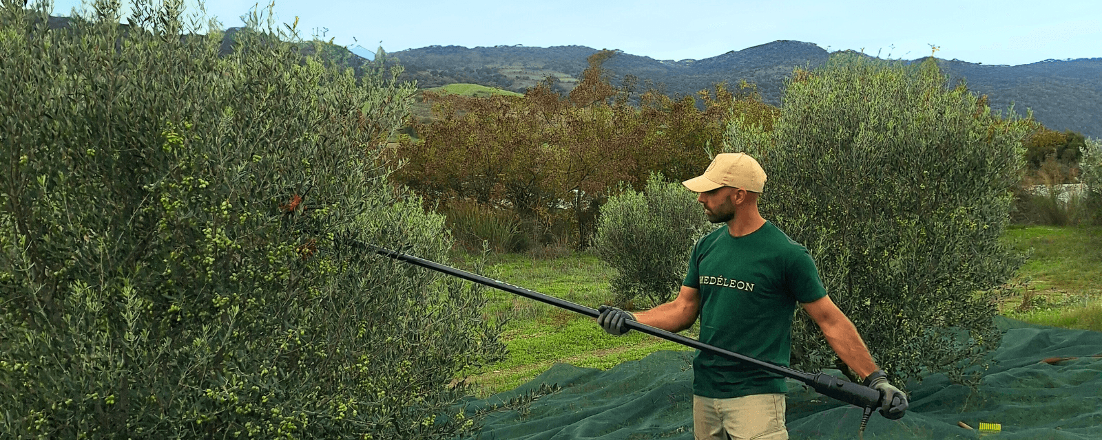 harvest