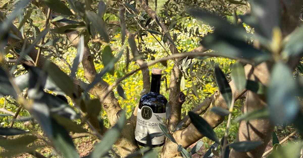 ελαιόλαδο υψηλών πολυφαινολών Medéleon αγουρέλαιο Ελλάδα εξαιρετικό παρθένο ελαιόλαδο